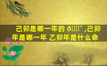 己卯是哪一年的 🐯 ,己卯年是哪一年 乙卯年是什么命